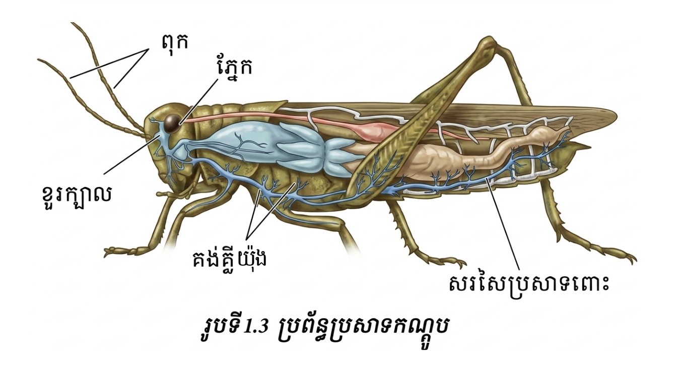តម្រូវប្រសាទកណ្ដូប