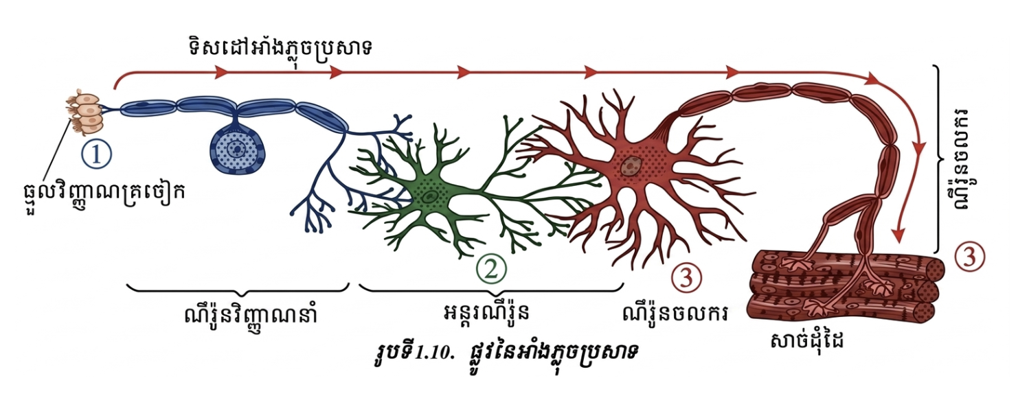 ទិសដៅអាំងភ្លុចប្រសាទ